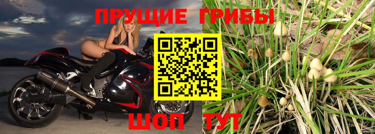 Псилоцибиновые грибы MAGIC MUSHROOMS Волжск