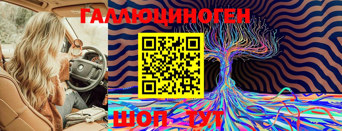 Псилоцибиновые грибы Psilocybe  Вход с VPN  Волжск 